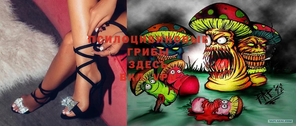 ГАЛЛЮЦИНОГЕННЫЕ ГРИБЫ Алексеевка