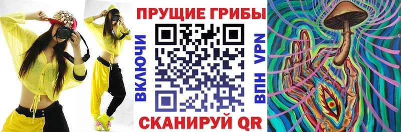 купить наркоту  Андреаполь  Псилоцибиновые грибы GOLDEN TEACHER 